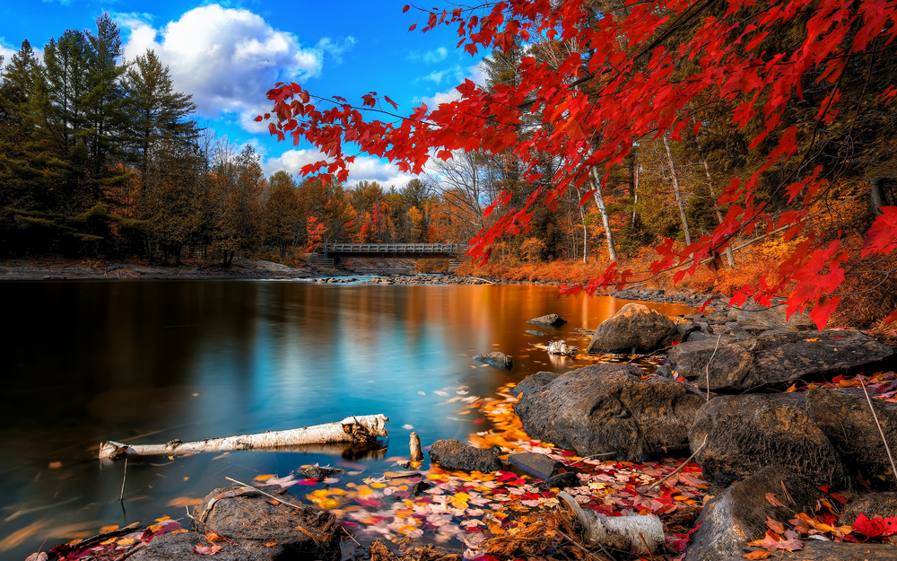 fall_foliage, wide